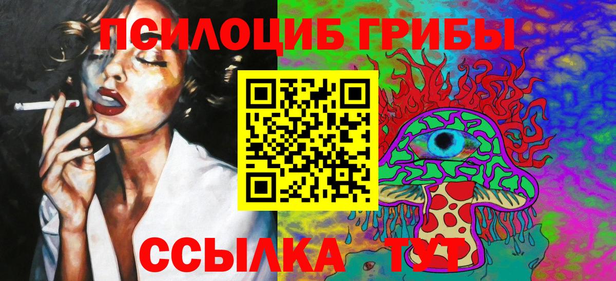 Галлюциногенные грибы Cubensis  Псилоцибиновые грибы GOLDEN TEACHER  Вход с VPN  Отрадный 