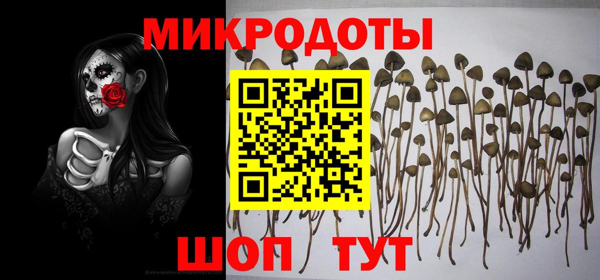 Галлюциногенные грибы прущие грибы Отрадный